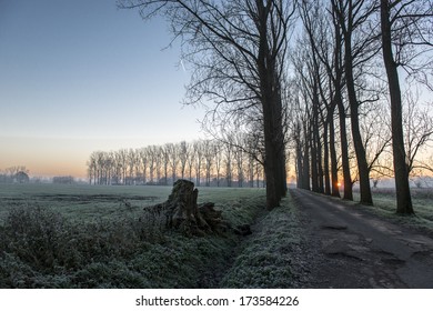 Winter Landscape (Belgium, Flanders)