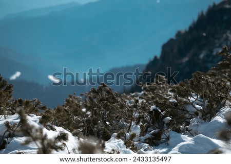 Winter landscape in Ceahlau mountain, Romania.