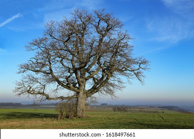 Winter Landscape In Central Europe Abnormally Warm Winter