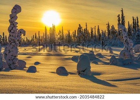 Winter landscape in direct light with plenty of snow and snowy trees, Gällivare, Swedish Lapland, Sweden