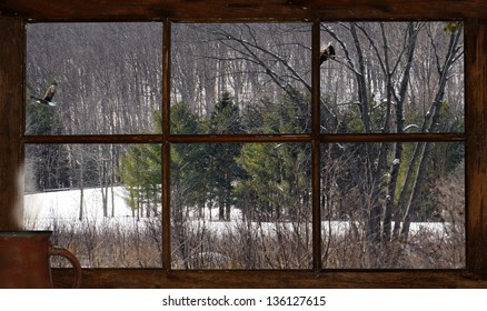 Winter Landscape With Eagles, As  Seen Through A Rustic Cabin Window With A Steaming Mug Of Coffee Resting On The Window Sill.  Part Of A Series.