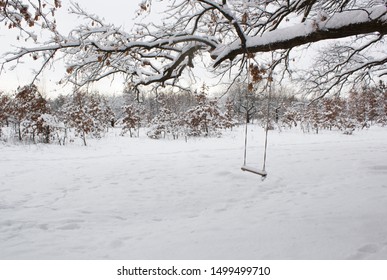 Winter landscape with empty abandoned tree swingin in the park. Solitude concept. Winter forest landscape