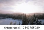 Winter landscape featuring a dense forest blanketed in snow. The golden light of the setting (or rising) sun gently illuminates the treetops, casting a warm glow over the white snow. The sky is clear