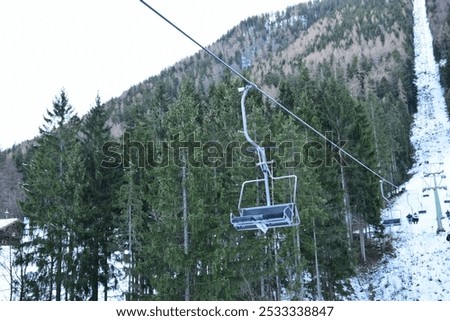 Downhill over pine trees and houses to Lake Garda