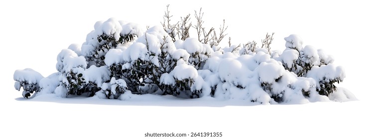 Winter landscape featuring shrubs completely blanketed with fresh white snow, creating a serene frozen scene with branches peeking through the heavy snow cover - Powered by Shutterstock - Get 15% off with code: PIKWIZARD15