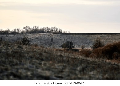 Winter landscape field with bare trees and frosty grass dirt road leading to horizon overcast sky serene rural scene suitable for backgrounds nature themes and seasonal projects - Powered by Shutterstock