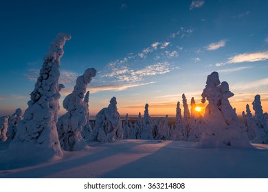 Winter Landscape In Finnish Lapland