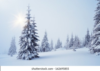 Winter landscape with fog in a mountain forest - Shutterstock ID 162695855