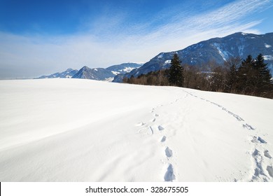 Winter Landscape With Foot Prints In The Snow