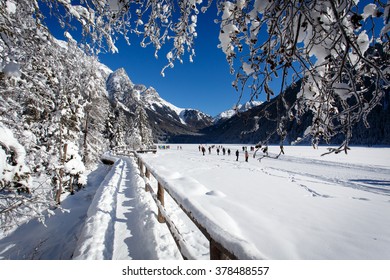 Winter landscape and winter forest near Antholz Lake, South Tirol, Italy.