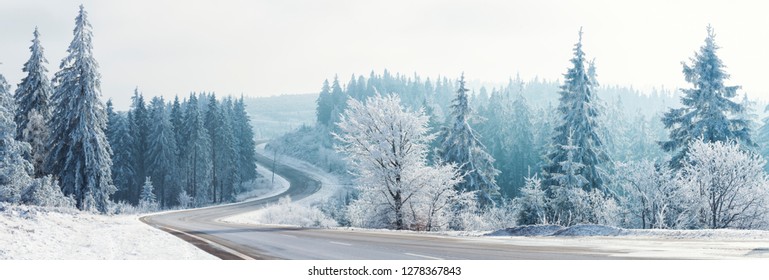 Winter Landscape, Winter Forest,  Winter Road And Trees Covered With Snow, Germany, Panoramic Shot