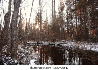 Winter Landscape In The Forest / Snowy Weather In January, Beautiful Landscape In The Snowy Forest, A Trip To The North