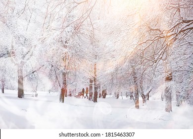 Winter landscape. Forest under the snow. Winter Park. - Shutterstock ID 1815463307
