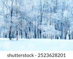 Winter landscape - frosty trees in winter forest in cold weather. Tranquil winter forest nature under snowfall