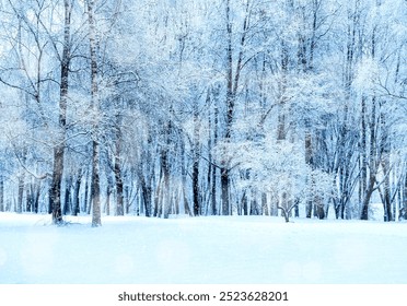 Winter landscape - frosty trees in winter forest in cold weather. Tranquil winter forest nature under snowfall - Powered by Shutterstock