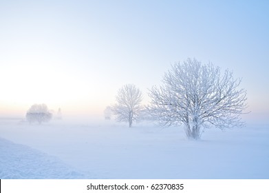 Winter landscape of frosty trees on foggy background - Powered by Shutterstock