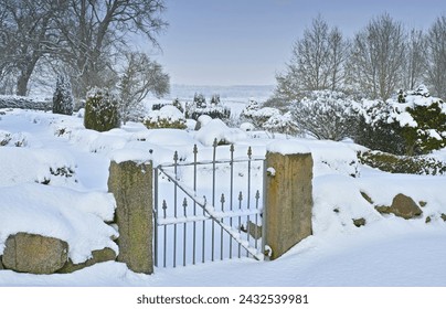 Winter, landscape or gate in forest or snow on frozen morning for weather, climate or cold season. Outdoor, nature or destination in woods for ecosystem background, environment or natural habitat