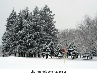 winter landscape; golf course