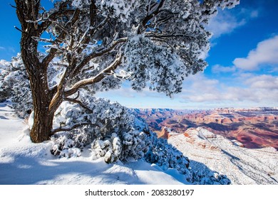 Winter Landscape In Grand Canyon National Park, United States Of America