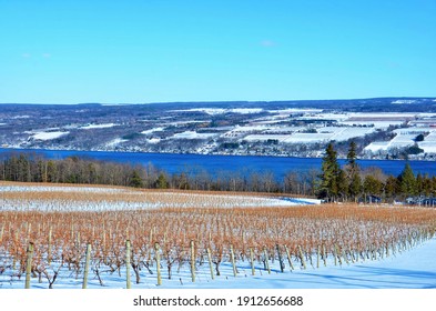 Winter Landscape With Grape Vineyard, Hills And Seneca Lake, In The Heart Of Finger Lakes Wine Country, New York. Seneca Lake Is The Deepest Lake Entirely Within The State. 