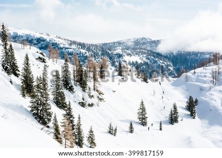 Winter landscape with a group of skiiers.