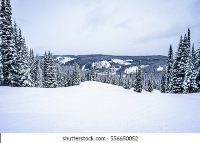 Winter Landscape In The High Alpine On The Ski Hills In The Shuswap Highlands Of Central British Columbia, Canada