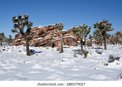 Winter landscape in Joshua Tree National Park with snow