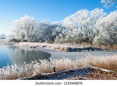 Winter Landscape With Lake And Trees In Třeboňsko. Czech Republic. Služebný Lake.