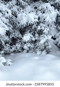 Paisaje invierno con exuberantes