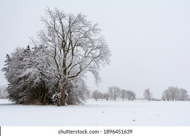 Winter Landscape In The Midwest.  Lasalle County, Illinois.