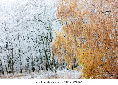 Winter Landscape, Moravia Region, Czech Republic