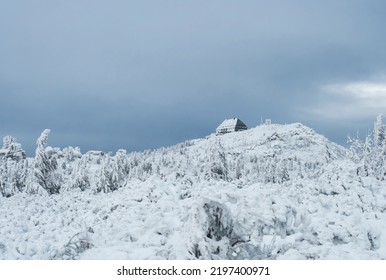 winter landscape with Mountain hut Vosecka Bouda and snowy spruce tree forest with snow covered conifers. Krkonose Mountains, Czech Republic, cloudy day.