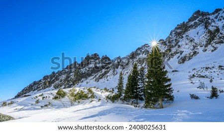 Winter landscape in the mountains. Rocky peaks with a clear blue sky. The setting sun over the top of the tree. Panorama of snowy mountains with small pine forest with sun rays.