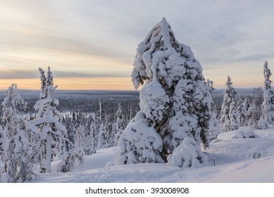 Winter landscape from northern Finland