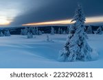 winter landscape on the Feldberg in Germany
