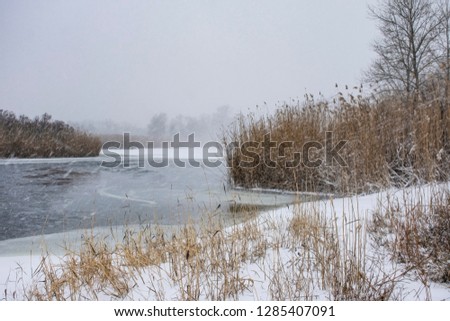 Similar – Image, Stock Photo quiet winter landscape