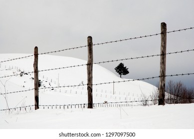 Winter Landscape On The Mountain Of Sila Calabria Italy