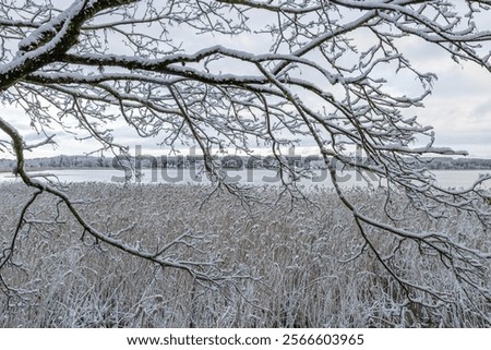 Similar – Image, Stock Photo layers of ice. Walking across river bank.