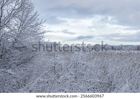Similar – Image, Stock Photo layers of ice. Walking across river bank.