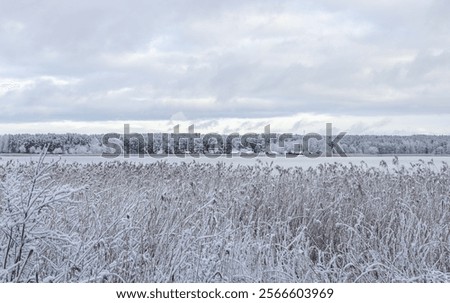 Similar – Image, Stock Photo layers of ice. Walking across river bank.