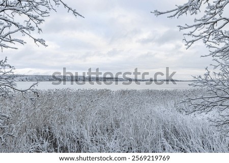 Similar – Image, Stock Photo layers of ice. Walking across river bank.