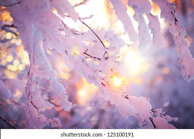 Winter landscape on a sunset. Bulgaria - Shutterstock ID 125100191
