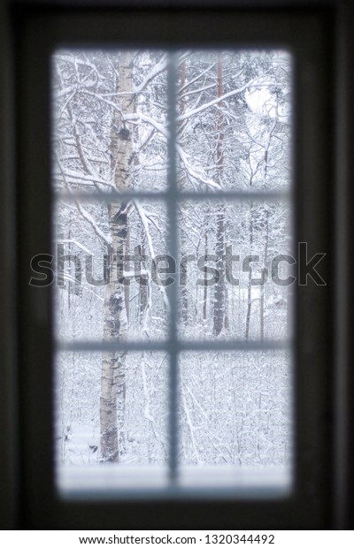Winter landscape outside the window with divided\
glazing: snow and trees