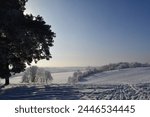 Winter landscape overlooking a frozen lake