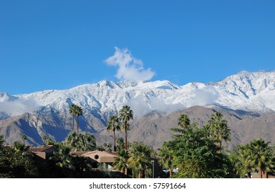 Winter Landscape In Palm Springs,CA,USA.