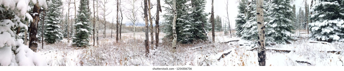 Winter Landscape Panorama