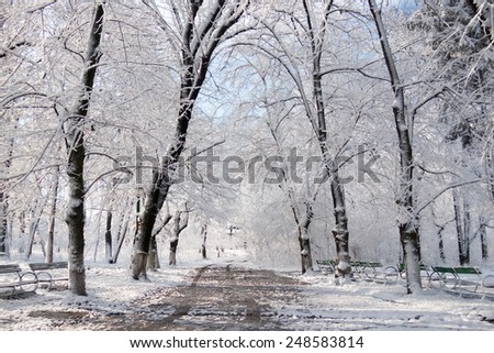 Similar – Foto Bild Schwarzwälder Winterlandschaft