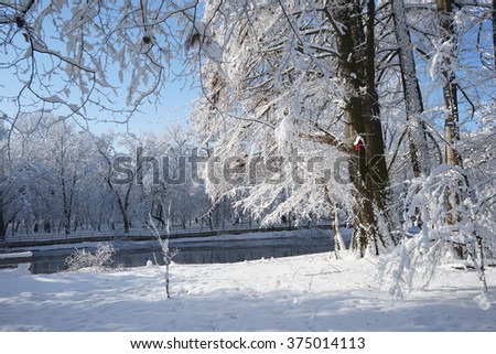 Similar – Foto Bild Schwarzwälder Winterlandschaft