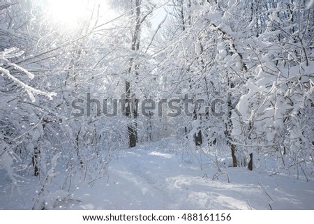 Similar – Foto Bild Schwarzwälder Winterlandschaft