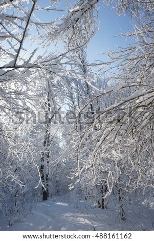 Similar – Foto Bild Schwarzwälder Winterlandschaft